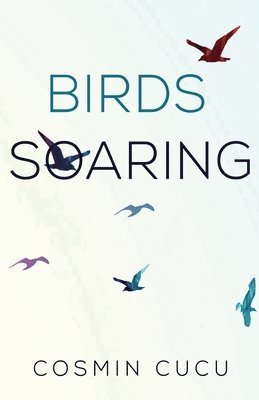 bokomslag Birds Soaring