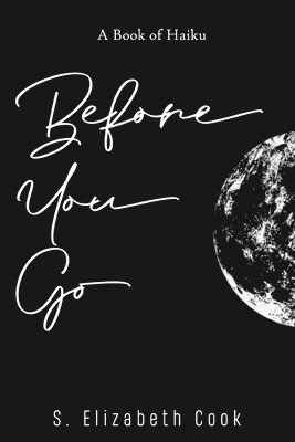 S. Elizabeth Cook - Before You Go, Häftad