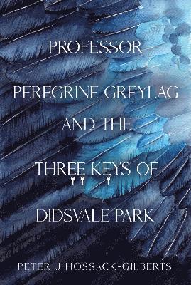 Peter J Hossack-Gilberts - Professor Peregrine Greylag and the Three Keys of Didsvale Park, Häftad