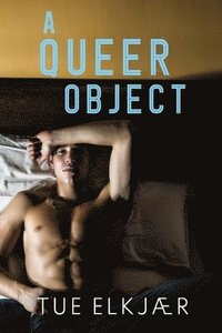 bokomslag Queer Object