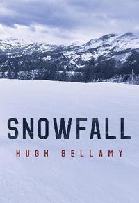 bokomslag Snowfall