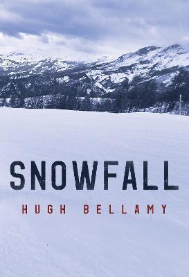 bokomslag Snowfall
