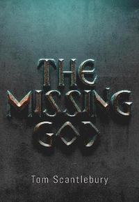 bokomslag Missing God