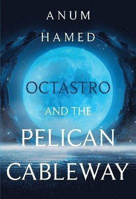 Octastro and the Pelican Cableway 1