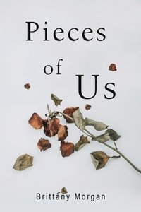 bokomslag Pieces Of Us