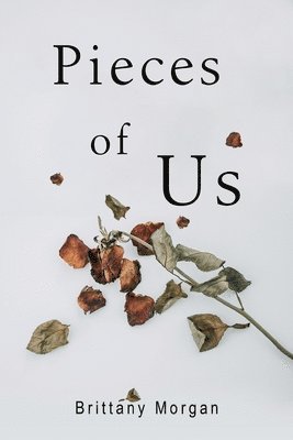 Pieces Of Us 1