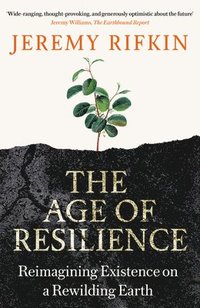bokomslag The Age of Resilience