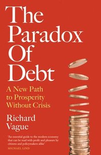 bokomslag The Paradox of Debt