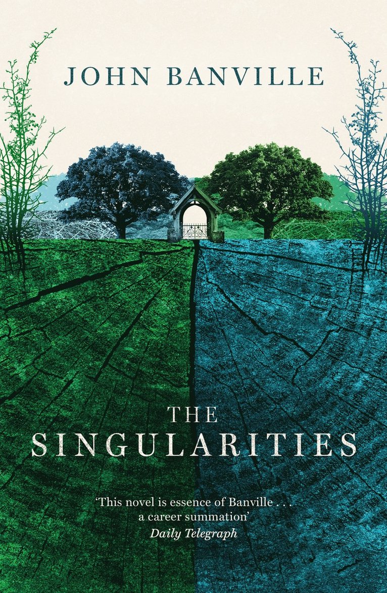John Banville - Singularities, Häftad
