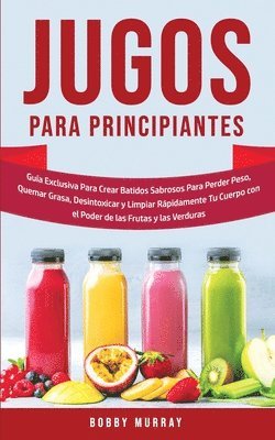 bokomslag Jugos Para Principiantes