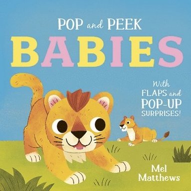 Carly Blake - Pop and Peek: Babies, Kartonnage