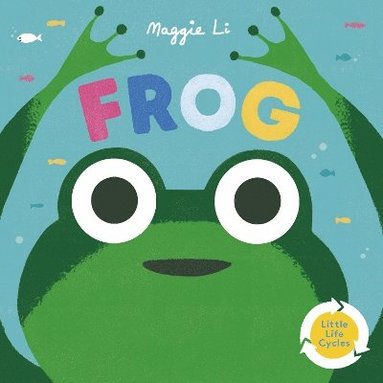Maggie Li - Little Life Cycles: Frog, Kartonnage