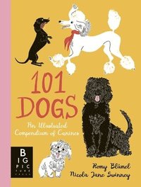 bokomslag 101 Dogs