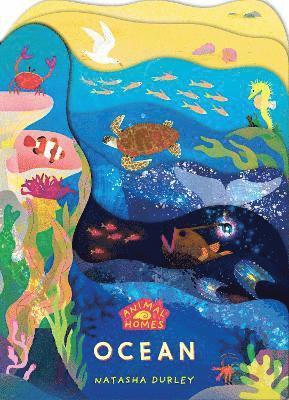 Animal Homes: Ocean, Kartonnage