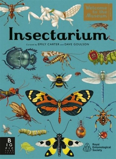 Dave Goulson - Insectarium, Inbunden