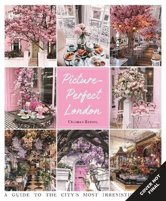 Gulshan Batool - Picture-perfect London, Inbunden. Tillgänglighet: Lägg i varukorg