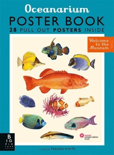 bokomslag Oceanarium Poster Book