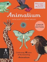 bokomslag Animalium (Junior Edition)