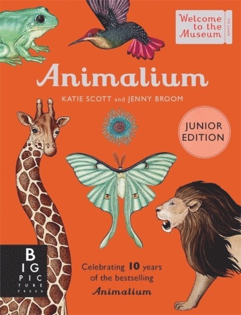 Animalium (Junior Edition) 1