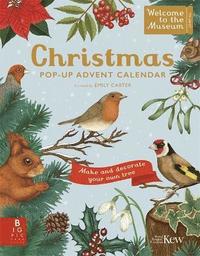 bokomslag Welcome to the Museum: A Christmas Pop-Up Advent Calendar