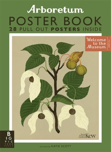 Royal Botanic Gardens Kew PLG - Arboretum Poster Book, Häftad