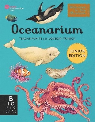 bokomslag Oceanarium (Junior Edition)