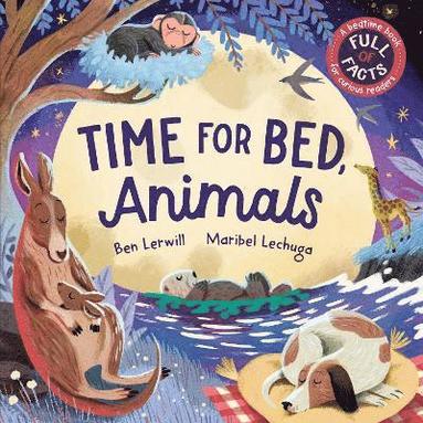 Ben Lerwill - Time for Bed, Animals, Häftad