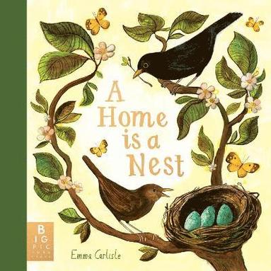 bokomslag A Home is a Nest