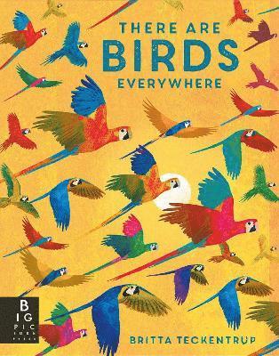 Camilla De La Bedoyere - There are Birds Everywhere, Häftad