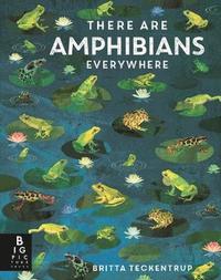 bokomslag There Are Amphibians Everywhere