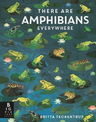 There Are Amphibians Everywhere 1