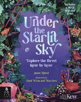 James Aldred - Under the Starlit Sky, Inbunden