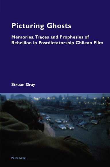 Struan Gray - Picturing Ghosts, Häftad