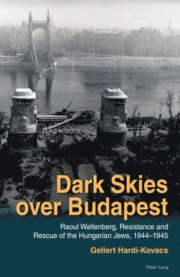 Gellert Hardi-Kovacs - Dark Skies over Budapest, Inbunden