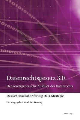 Schlüssellabor Für Big Data-Strategie, Yuming Lian - Datenrechtsgesetz 3.0, Inbunden