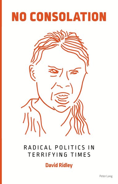 David Ridley - No Consolation, Häftad