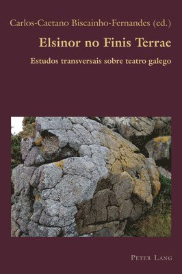 Carlos-Caetano Biscainho-Fernandes - Elsinor no Finis Terrae, Häftad