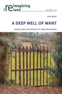 bokomslag Deep Well of Want