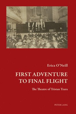 Erica O'Neill, Timothy Mathews, Dawn Ades - First Adventure to Final Flight, Häftad