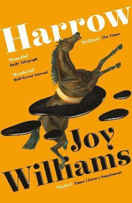 Joy Williams - Harrow, Häftad