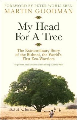 My Head For A Tree 1