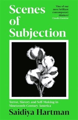 bokomslag Scenes of Subjection