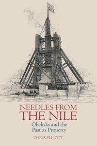 bokomslag Needles from the Nile