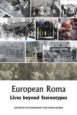 bokomslag European Roma