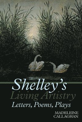 bokomslag Shelleys Living Artistry: Letters, Poems, Plays