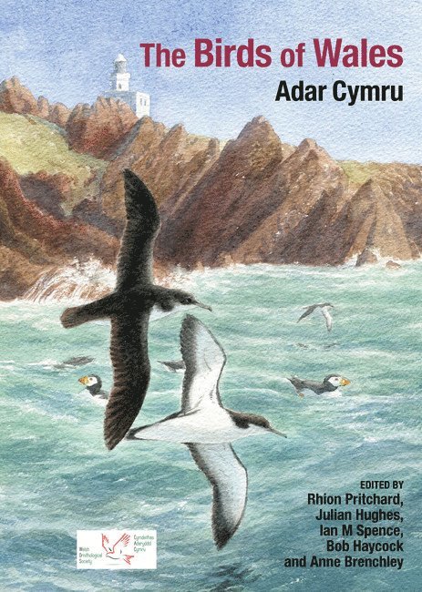 Rhion Pritchard, Julian Hughes, Ian M. Spence, Bob Haycock, Anne Brenchley - Birds of Wales, Inbunden
