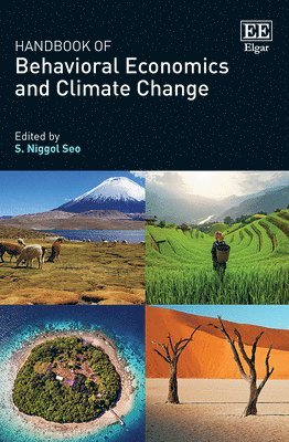 bokomslag Handbook of Behavioral Economics and Climate Change