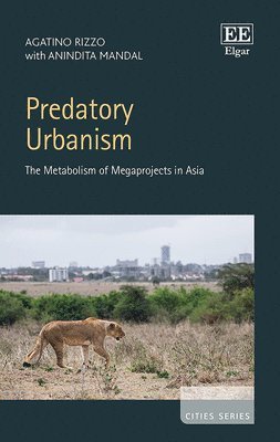 bokomslag Predatory Urbanism