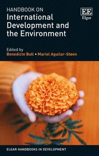 bokomslag Handbook on International Development and the Environment
