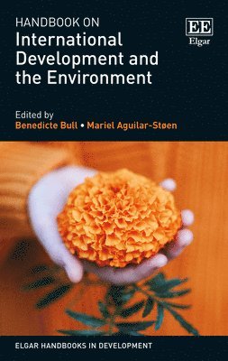 bokomslag Handbook on International Development and the Environment